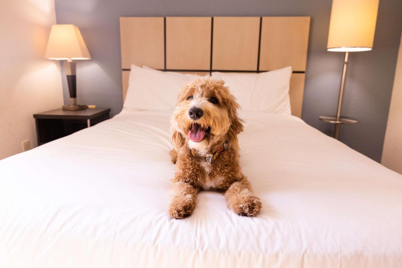 Sonesta Simply Suites Arlington Ngoại thất bức ảnh